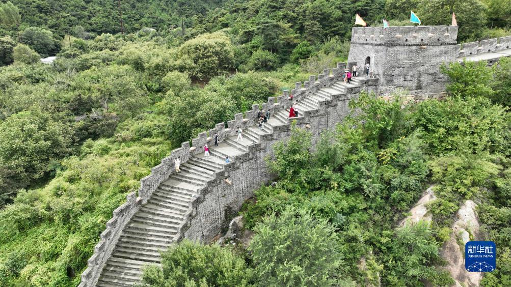 大发bet客户端下载
